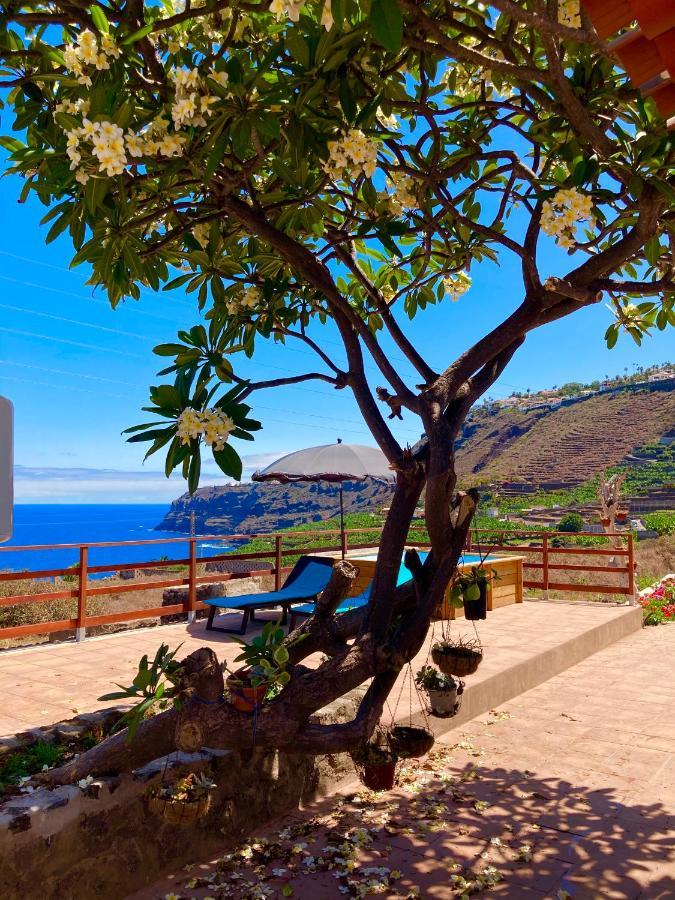 Rincon Del Mar , Espacio Natural La Orotava Exteriör bild